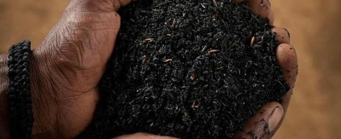Tanzania researchers turn sisal waste into animal feed, fertiliser and energy