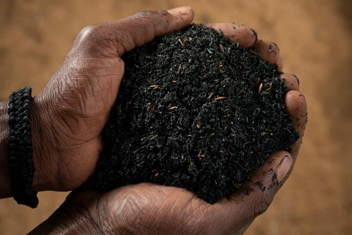 Tanzania researchers turn sisal waste into animal feed, fertiliser and energy